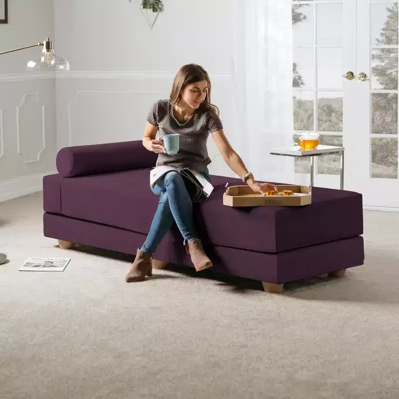 Divano Letto Matrimoniale Pieghevole con Materasso in Microvelluto e Schiuma CertiPUR-US