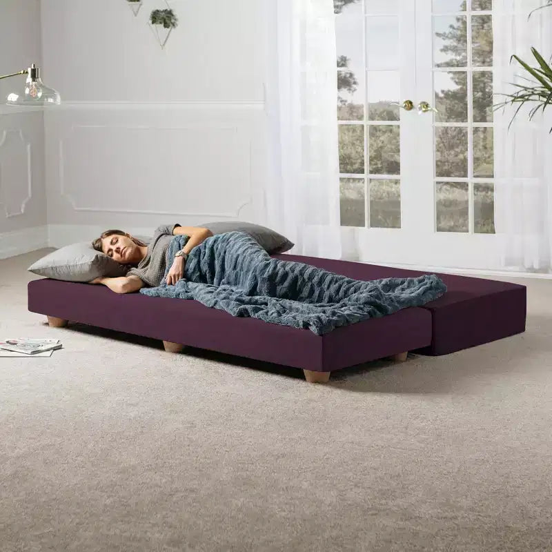Divano Letto Matrimoniale Pieghevole con Materasso in Microvelluto e Schiuma CertiPUR-US